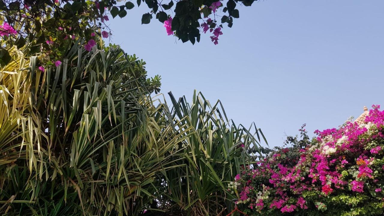 Villa met privé zwembad in Résidence Safari Village Saly Exterior foto