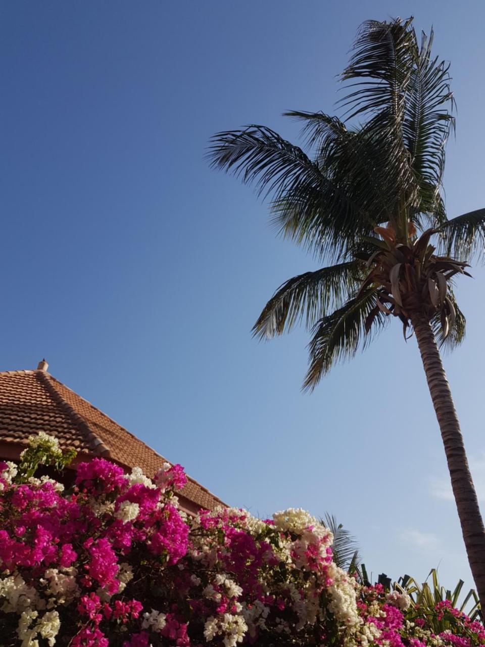 Villa met privé zwembad in Résidence Safari Village Saly Exterior foto